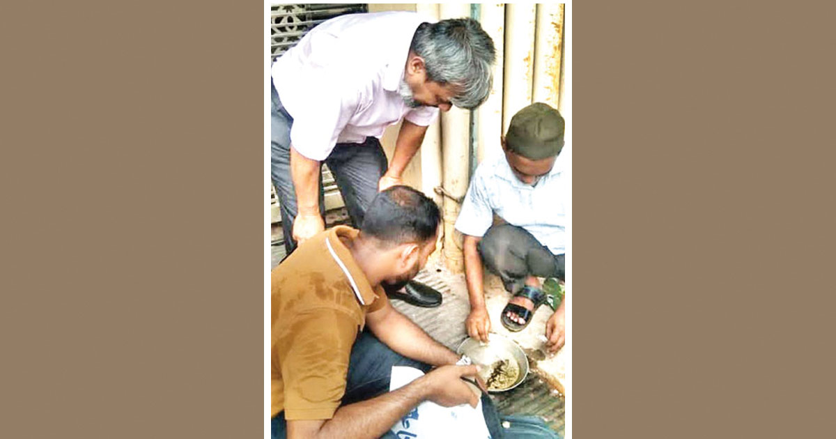 দৈনিক পূর্বকোণ - চট্টগ্রামের দৈনিক মশার ‘হটস্পট’র খোঁজে চলছে জরিপ