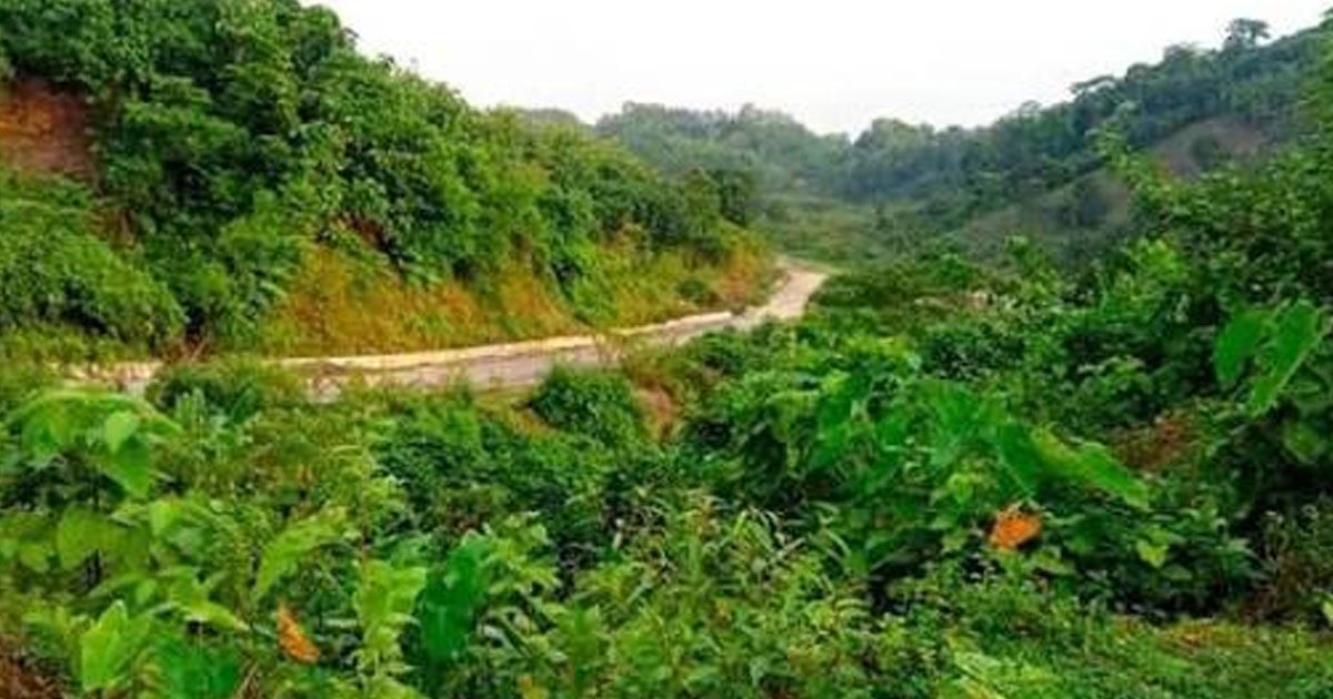 দৈনিক পূর্বকোণ - চট্টগ্রামের দৈনিক বোয়ালখালীতে পাহাড় থেকে হাত-পা বাঁধা অজ্ঞাতনামা ব্যক্তির লাশ উদ্ধার