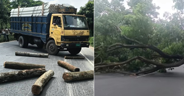 দৈনিক পূর্বকোণ - চট্টগ্রামের দৈনিক আসলাম চৌধুরীর প্রার্থিতা বাতিলের খবরে সীতাকুণ্ডে মহাসড়ক অবরোধ