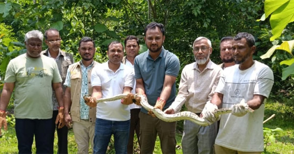 কাপ্তাইয়ে দোকান থেকে উদ্ধার অজগর ন্যাশনাল পার্কে অবমুক্ত