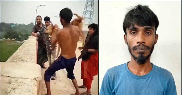 দৈনিক পূর্বকোণ - চট্টগ্রামের দৈনিক কুকুরের গলায় ইট বেঁধে নদীতে নিক্ষেপ, যুবক আটক