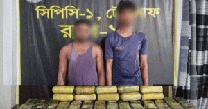 টেকনাফে ৫ লাখ ইয়াবাসহ মিয়ানমারের দুই নাগরিক আটক
