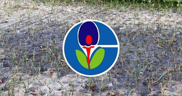 দৈনিক পূর্বকোণ - চট্টগ্রামের দৈনিক দূষণে নষ্ট ১২৯ কানি জমির ফসল