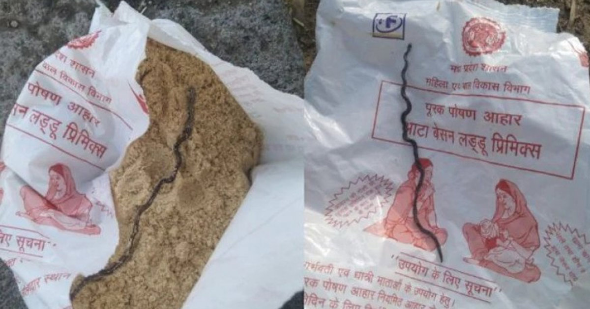 দৈনিক পূর্বকোণ - চট্টগ্রামের দৈনিক অন্তঃসত্ত্বা নারীর পুষ্টিকর খাবারের প্যাকেটে সাপের মৃত বাচ্চা