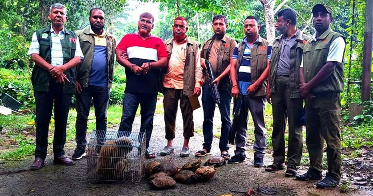 দৈনিক পূর্বকোণ - চট্টগ্রামের দৈনিক চকরিয়ায় হনুমান ও কচ্ছপ পাচারকালে একজন গ্রেপ্তার