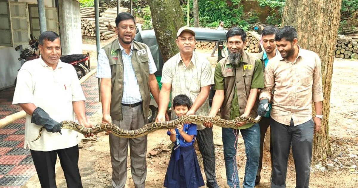 দৈনিক পূর্বকোণ - চট্টগ্রামের দৈনিক কাপ্তাইয়ে উদ্বার অজগর জাতীয় উদ্যানে অবমুক্ত