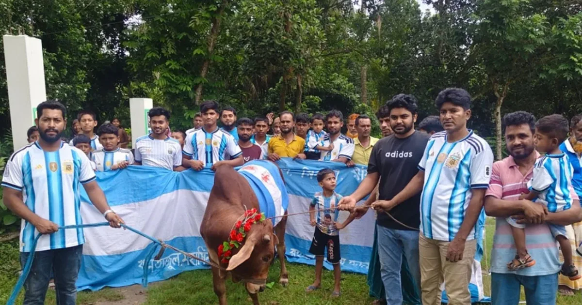 গরু জবাই করে আর্জেন্টিনা সমর্থকদের ভূরিভোজের আয়োজন
