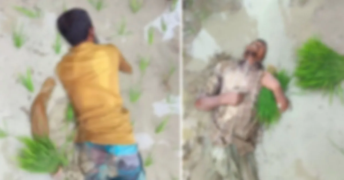 ফটিকছড়িতে বিদ্যুতের তারে জড়িয়ে দুই কৃষকের মৃত্যু