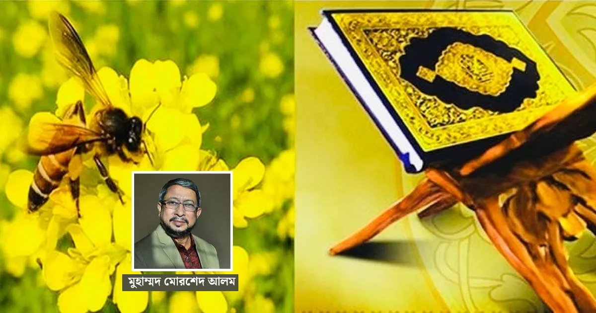 দৈনিক পূর্বকোণ - চট্টগ্রামের দৈনিক কুরআন-হাদিসে মৌমাছি ও মধু পানের গুরুত্ব