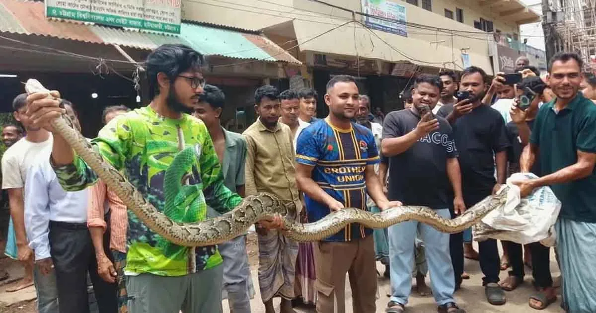দৈনিক পূর্বকোণ - চট্টগ্রামের দৈনিক চবি থেকে উদ্ধার ১৫ ফুট লম্বা অজগর গহীন অরণ্যে অবমুক্ত