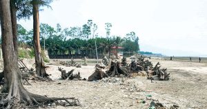 পারকি হবে সুরক্ষিত-পরিবেশবান্ধব