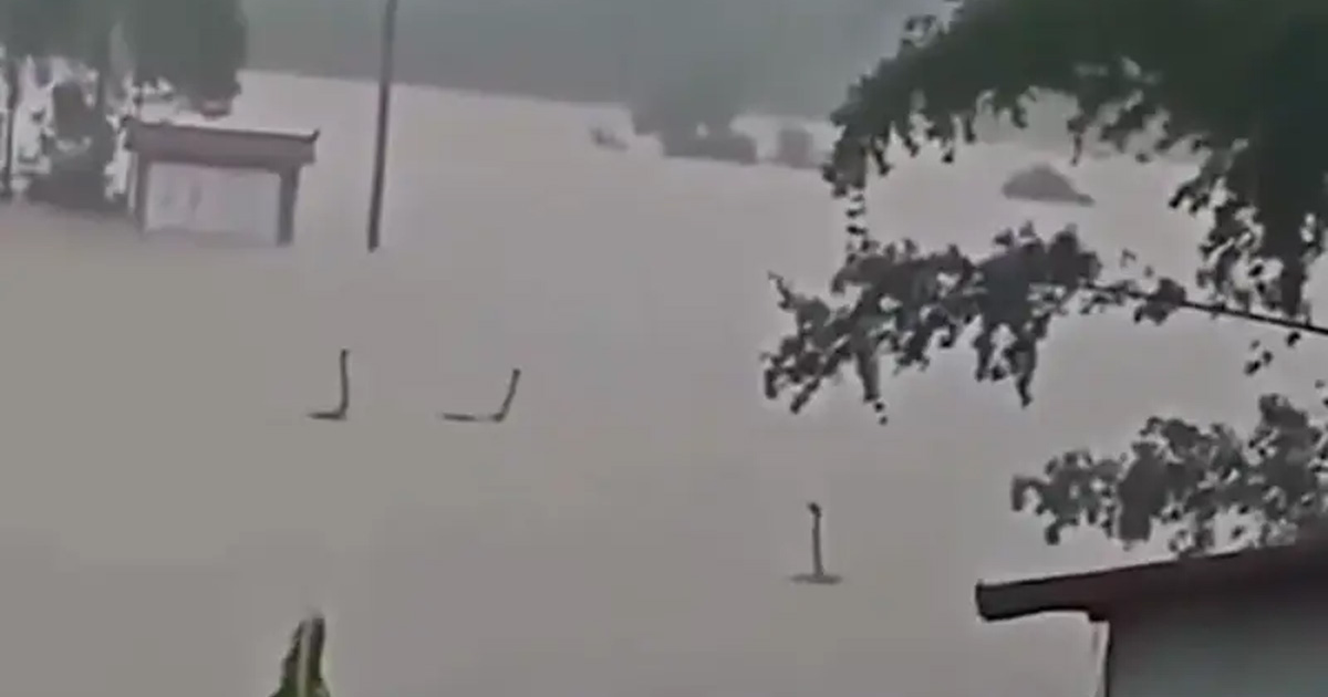 দৈনিক পূর্বকোণ - চট্টগ্রামের দৈনিক বন্যায় খামার থেকে পালিয়েছে বিষধর ৯০০ সাপ, এলাকায় আতঙ্ক