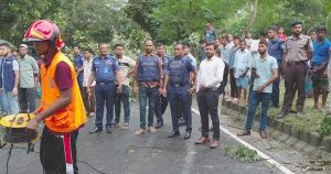 সীতাকুণ্ডে গাছ কেটে সড়ক অবরোধের ঘটনায় সওজের মামলা, গ্রেপ্তার ২