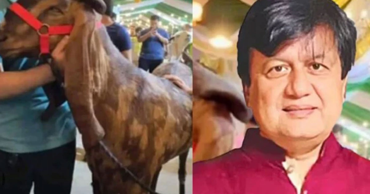 দৈনিক পূর্বকোণ - চট্টগ্রামের দৈনিক ছাগলকাণ্ডে আলোচিত মতিউরের বিরুদ্ধে চার্জ শুনানি শেষ, আদেশ ২১ জুলাই