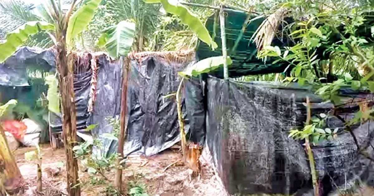 দৈনিক পূর্বকোণ - চট্টগ্রামের দৈনিক নিঃস্ব ভিটায় আজ বাজবে মেয়ের বিয়ের সানাই