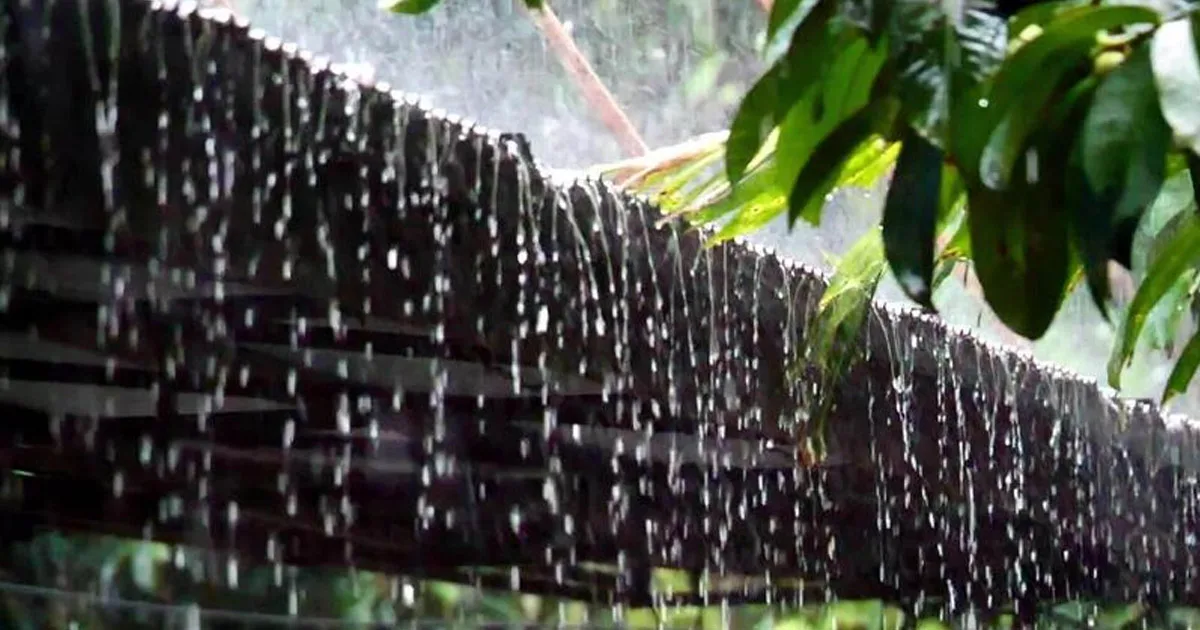 দৈনিক পূর্বকোণ - চট্টগ্রামের দৈনিক চট্টগ্রামসহ ৭ জেলায় ঝড়ের শঙ্কা, নদীবন্দরে সতর্ক সংকেত