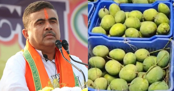 শুভেন্দু অধিকারীর কাছে ৫০০ কেজি আম উপহার পাঠালো বাংলাদেশ