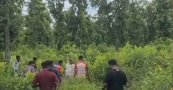 দৈনিক পূর্বকোণ - চট্টগ্রামের দৈনিক গভীর জঙ্গলে ১২ ঘোড়ার মাথা-চামড়া উদ্ধার, উধাও মাংস