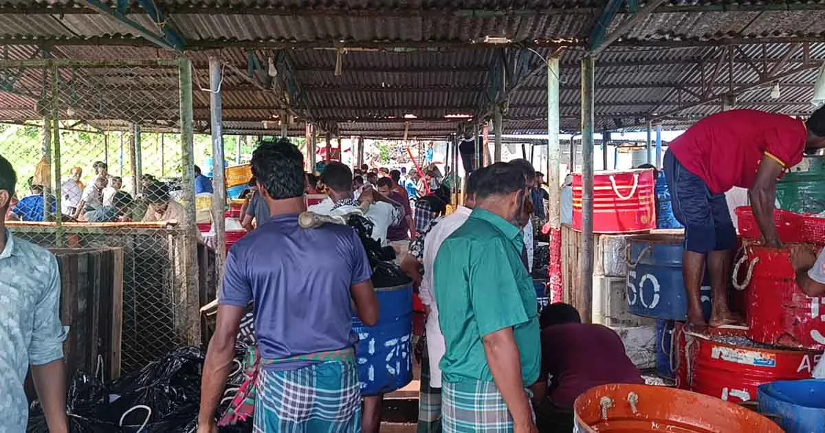 দৈনিক পূর্বকোণ - চট্টগ্রামের দৈনিক কাপ্তাই লেকে ফের মাছ ধরা শুরু, প্রথম দিনেই রাজস্ব আয় ৬ লাখ ২০ হাজার টাকা