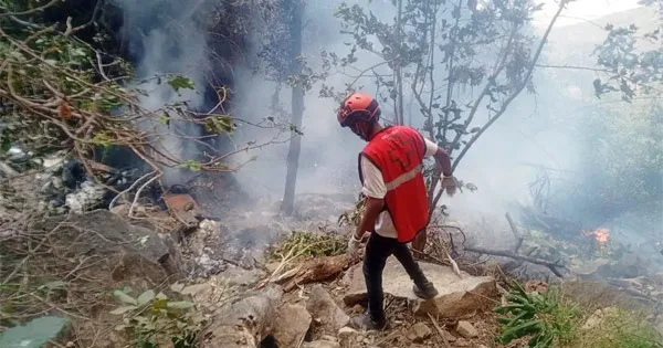 দৈনিক পূর্বকোণ - চট্টগ্রামের দৈনিক কেনিয়ায় হেলিকপ্টার বিধ্বস্ত হয়ে ইকুয়েডরের গোয়েন্দাপ্রধানসহ ৭ জন নিহত
