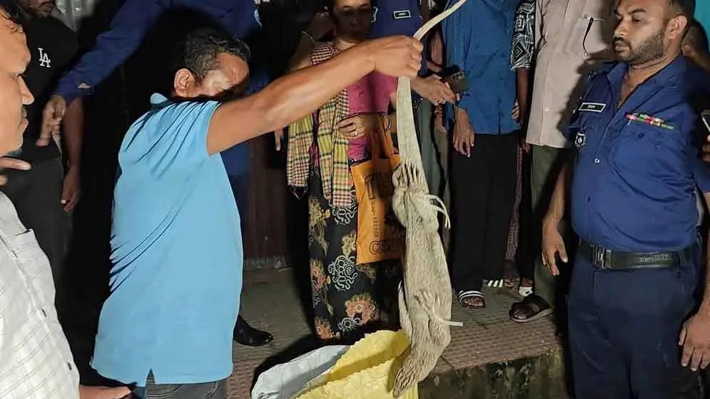 দৈনিক পূর্বকোণ - চট্টগ্রামের দৈনিক খাগড়াছড়িতে ২৪ গুইসাপ নিয়ে বিক্রি করতে নেয়ার পথে নারী আটক