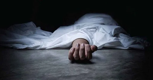 দৈনিক পূর্বকোণ - চট্টগ্রামের দৈনিক রাউজানে ভিমরুলের কামড়ে পথচারীর মৃত্যু, আহত ১