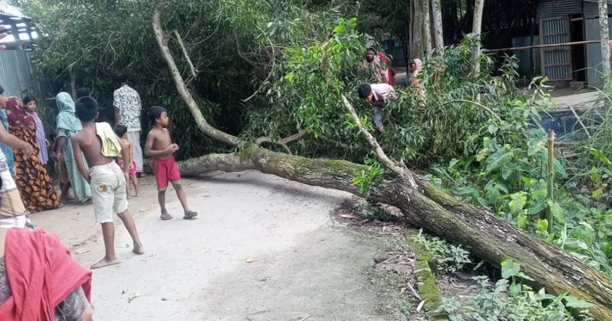 দৈনিক পূর্বকোণ - চট্টগ্রামের দৈনিক লোডশেডিংয়ে অতিষ্ঠ হয়ে গাছের নিচে বসেছিলেন ৯০ বছরের বৃদ্ধা, সেই গাছ ভেঙেই মৃত্যু