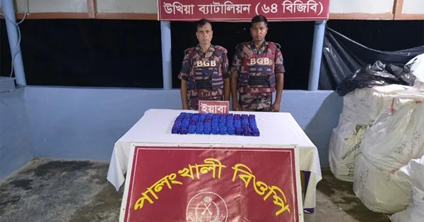 উখিয়ায় বিজিবির পৃথক অভিযানে ১ লাখ ৭০ হাজার ইয়াবা উদ্ধার