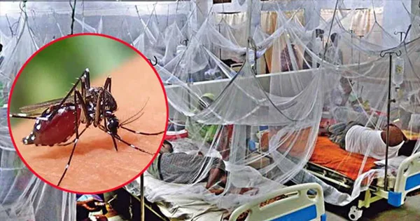 দৈনিক পূর্বকোণ - চট্টগ্রামের দৈনিক ডেঙ্গুতে ২৪ ঘণ্টায় ৫ জনের মৃত্যু