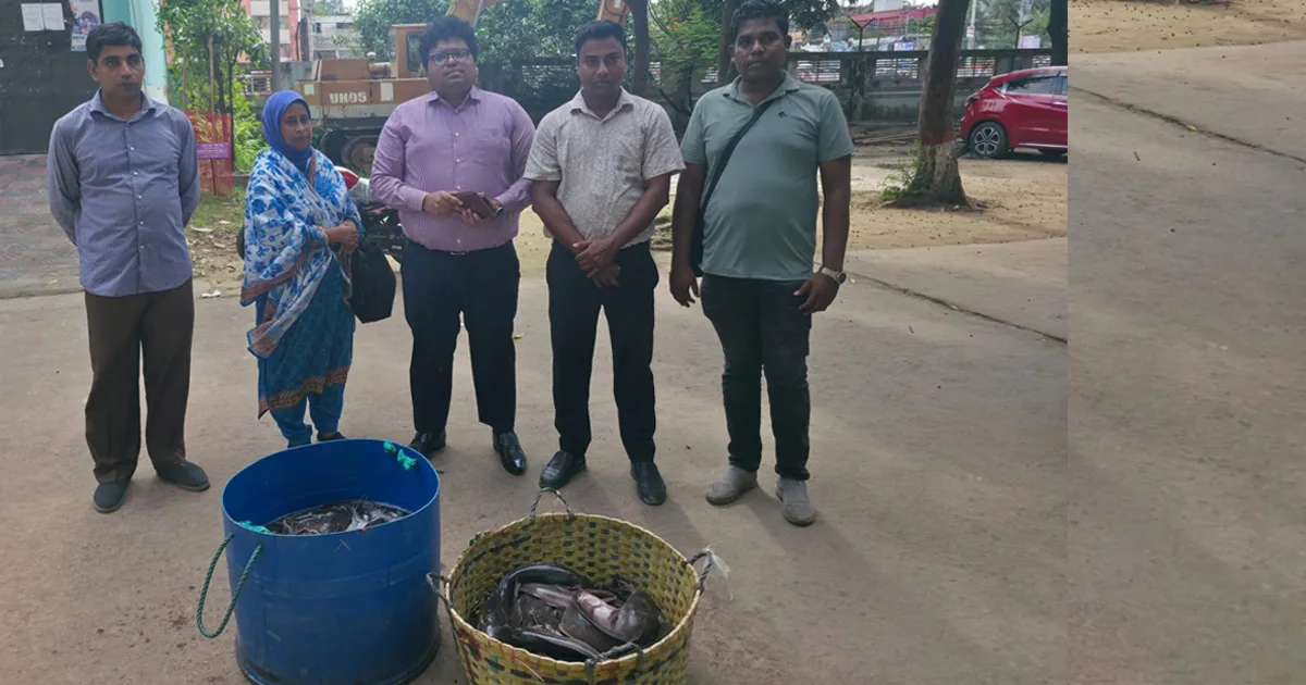 দৈনিক পূর্বকোণ - চট্টগ্রামের দৈনিক হাটহাজারী বাজার থেকে নিষিদ্ধ আফ্রিকান মাগুর মাছ জব্দ