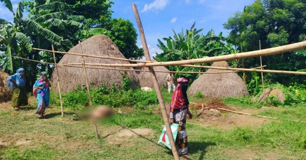 দৈনিক পূর্বকোণ - চট্টগ্রামের দৈনিক মাংস বিক্রির উদ্দেশ্যে পরিত্যক্ত বাড়িতে ১০ ঘোড়া জবাই!