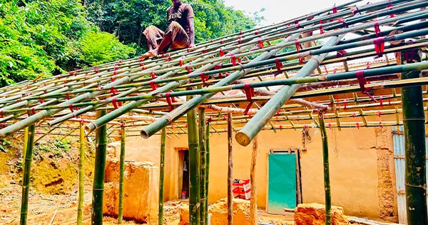 দৈনিক পূর্বকোণ - চট্টগ্রামের দৈনিক রাঙ্গুনিয়ায় পাঁচ শতক সংরক্ষিত বনভূমি দখলমুক্ত করলো বনবিভাগ