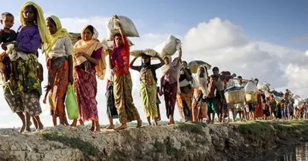 দৈনিক পূর্বকোণ - চট্টগ্রামের দৈনিক ৩ লাখ ৯ হাজার রোহিঙ্গাকে স্বীকৃতি দিয়েছে মিয়ানমার