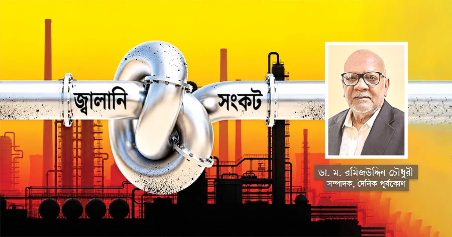দৈনিক পূর্বকোণ - চট্টগ্রামের দৈনিক এতটা আমদানিনির্ভর হলাম কেন?