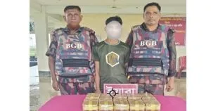 টেকনাফ সীমান্তে ১ লাখ ইয়াবাসহ কারবারি গ্রেপ্তার