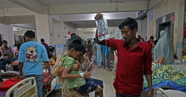 দৈনিক পূর্বকোণ - চট্টগ্রামের দৈনিক ডেঙ্গুতে ২৪ ঘণ্টায় ২ জনের মৃত্যু, হাসপাতালে ভর্তি ১২৩২