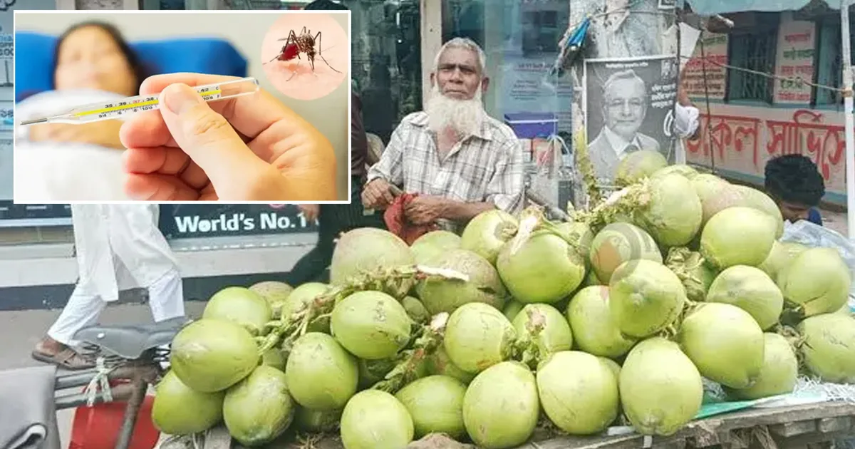 দৈনিক পূর্বকোণ - চট্টগ্রামের দৈনিক ডেঙ্গুর মৌসুমে ডাব-মাল্টার দামে ‘জ্বর’