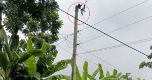 মিরসরাইয়ে আবারও ট্রান্সফরমার চুরি, অন্ধকারে ৭০ পরিবার