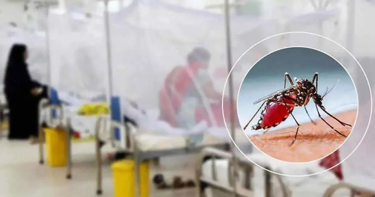 দৈনিক পূর্বকোণ - চট্টগ্রামের দৈনিক ২৪ ঘণ্টায় ডেঙ্গুতে আরও ৬ মৃত্যু, হাসপাতালে ভর্তি ১৬০৮