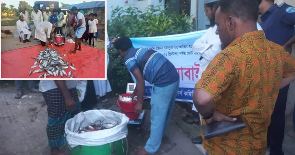 দৈনিক পূর্বকোণ - চট্টগ্রামের দৈনিক মিরসরাইয়ে ৩৯৫ কেজি ইলিশ জব্দ, গেল এতিমখানায়