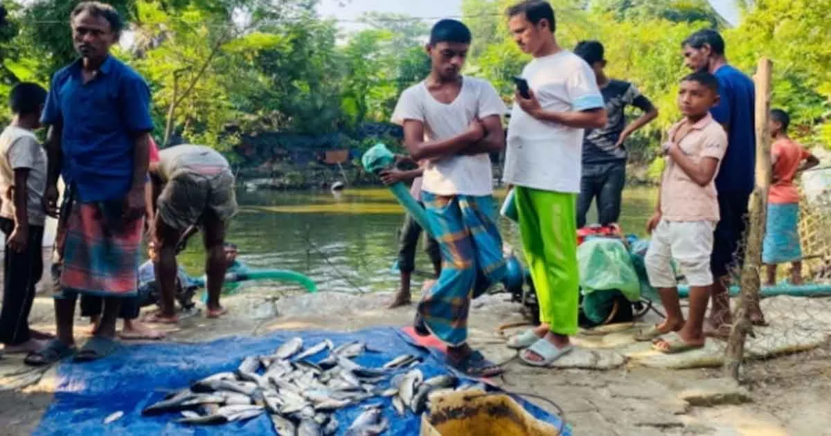 দৈনিক পূর্বকোণ - চট্টগ্রামের দৈনিক পেকুয়ায় শখের মাছ চাষের পুকুরে বিষ প্রয়োগ, লক্ষাধিক টাকার ক্ষতির অভিযোগ