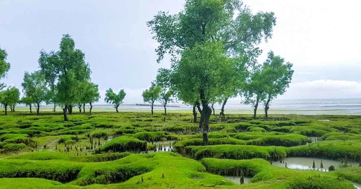 দৈনিক পূর্বকোণ - চট্টগ্রামের দৈনিক সীতাকুণ্ডে জোয়ারে পানিতে ভেসে এলো শিশুর অর্ধগলিত মরদেহ