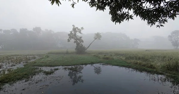দৈনিক পূর্বকোণ - চট্টগ্রামের দৈনিক নভেম্বরের শুরু থেকেই বাড়তে পারে শীতের আমেজ