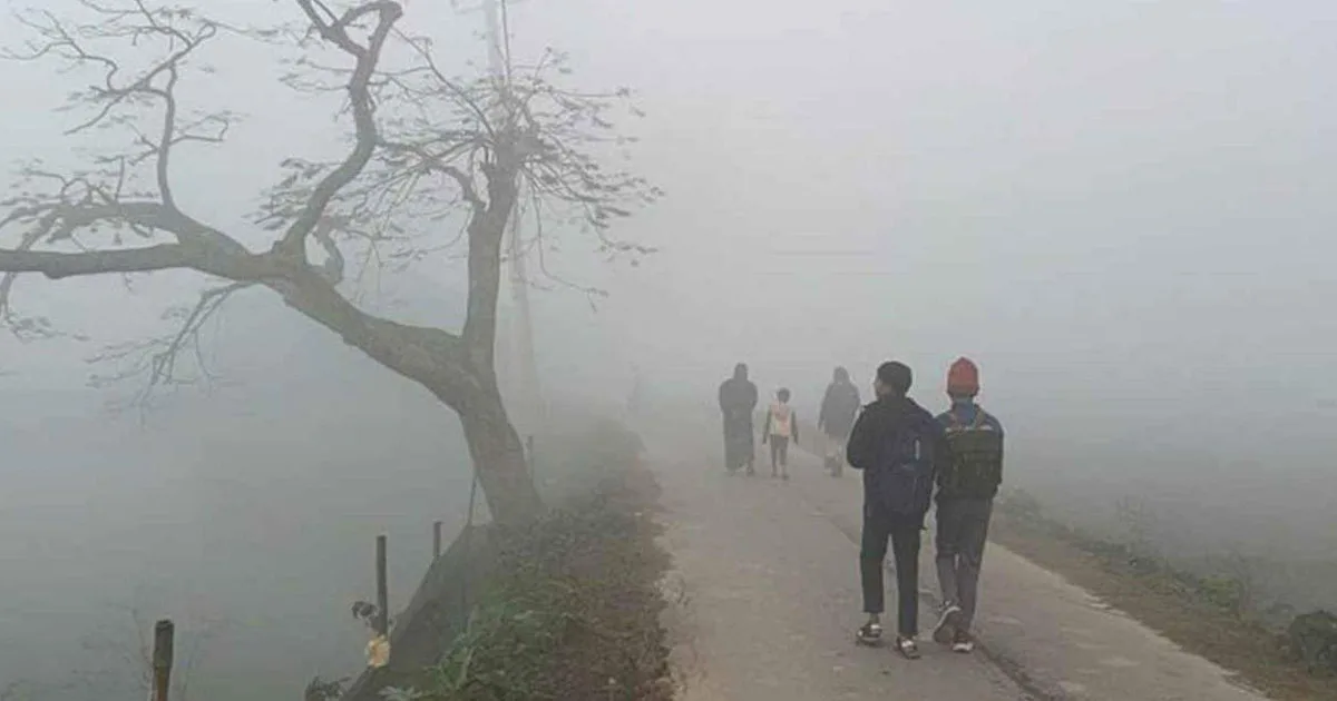 দৈনিক পূর্বকোণ - চট্টগ্রামের দৈনিক কুয়াশা পড়তে শুরু করেছে দেশের বিভিন্ন অঞ্চলে