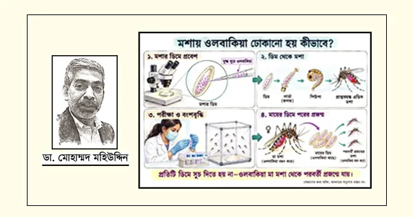দৈনিক পূর্বকোণ - চট্টগ্রামের দৈনিক মশা দিয়েই ডেঙ্গু প্রতিরোধ: কুইন্সল্যান্ডের অভিজ্ঞতা থেকে বাংলাদেশের করণীয়