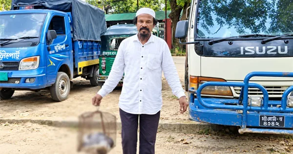দৈনিক পূর্বকোণ - চট্টগ্রামের দৈনিক পোষা বিড়াল পিটিয়ে হত্যার অভিযোগ, মৃতদেহ নিয়ে থানায় মালিক