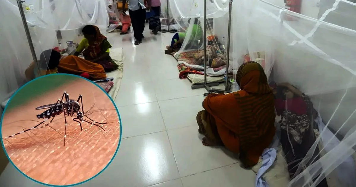 দৈনিক পূর্বকোণ - চট্টগ্রামের দৈনিক ডেঙ্গুতে আক্রন্ত লাখ ছাড়াল, ২৪ ঘণ্টায় নতুন করে ৪ মৃত্যু