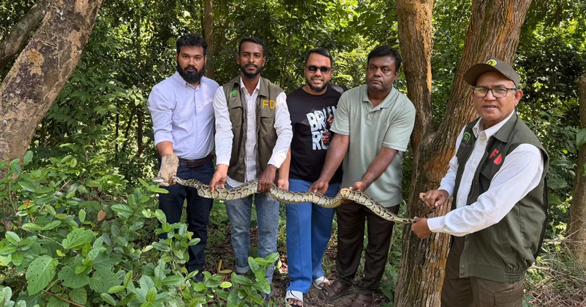 দৈনিক পূর্বকোণ - চট্টগ্রামের দৈনিক রাঙ্গুনিয়ায় লোকালয়ে অজগর উদ্ধার, এভিয়ারি বনে অবমুক্ত
